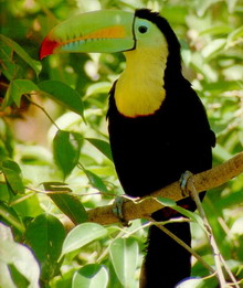 parc nationaux du Nicaragua