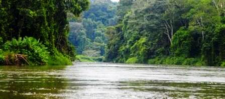 Reserva indio Maiz en el  Rio San Juan