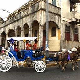 Visitas por Granada en caretas ed caballos