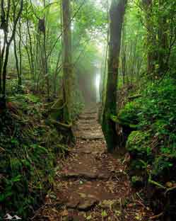 Paseo en el volcan Mombacho