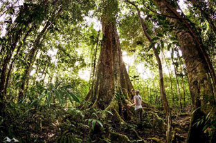 Jungle du Nicaragua